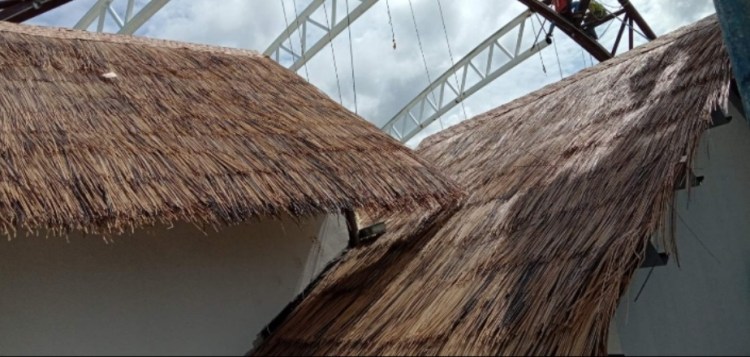 RATTAN RAW PHILIPPINES – SUPPLIER OF RATTAN RAW MATERIAL, WATER ...